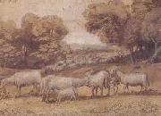 Claude Lorrain Landscape with Sheep (mk17) oil painting picture wholesale
